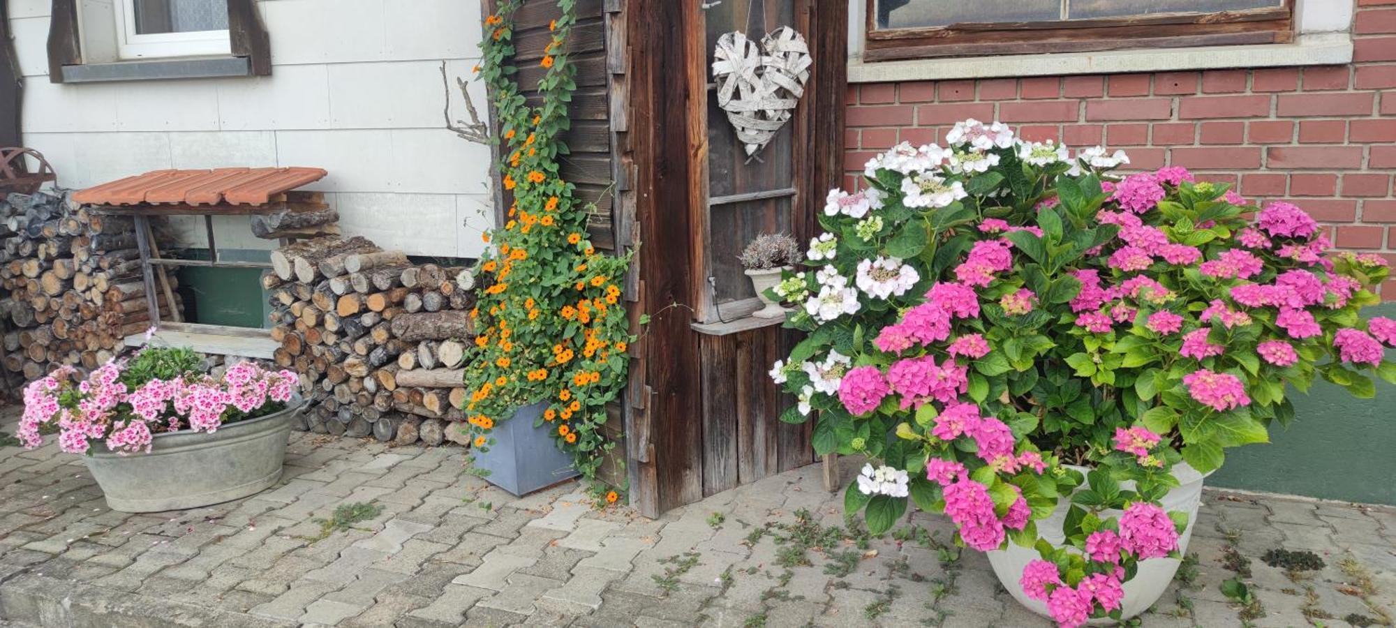 Gaestehaus Fechtig Hergensweiler Esterno foto